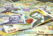 Banii din subvenții pot ajunge mai repede la fermieri. APIA eliberează adeverințe pentru cei care au depus cererea de plată