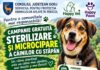 Brănești: Campanie de sterilizare a câinilor din gospodării
