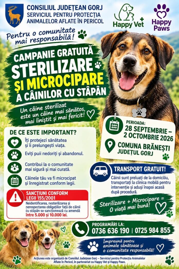 campanie branesti1