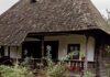 Din Gorj, direct pe marile ecrane: Povestea spectaculoasei Case „Bălești” din filmul „Ciuleandra”, deschisă publicului la Muzeul Golești