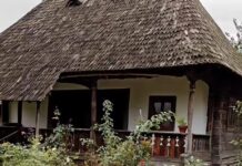 Din Gorj, direct pe marile ecrane: Povestea spectaculoasei Case „Bălești” din filmul „Ciuleandra”, deschisă publicului la Muzeul Golești