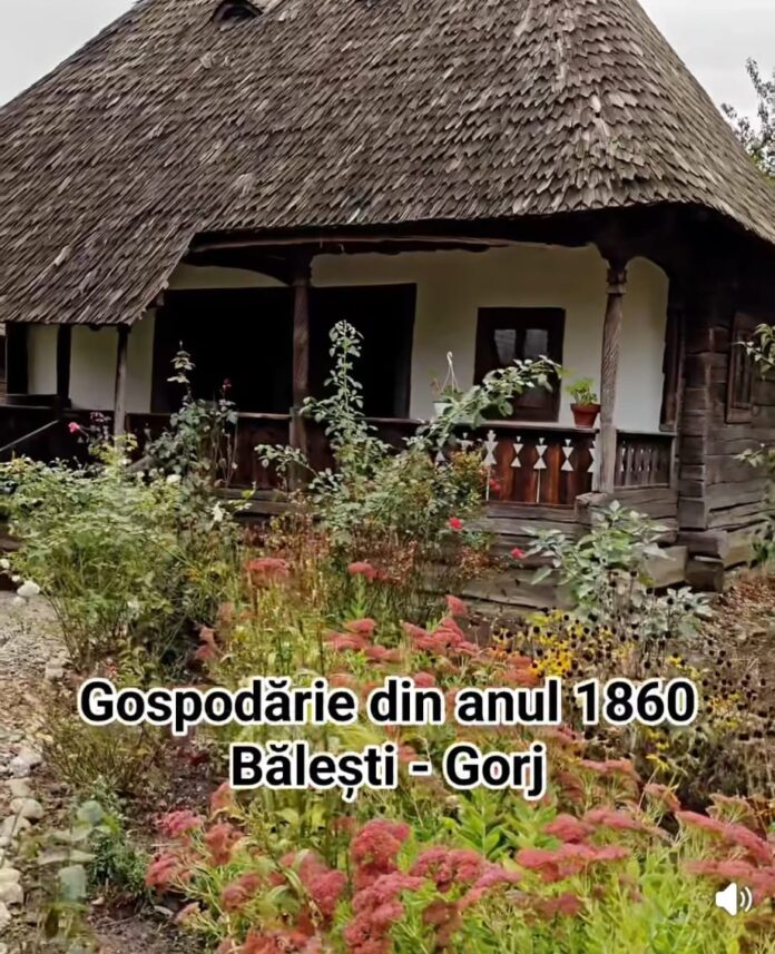 Din Gorj, direct pe marile ecrane: Povestea spectaculoasei Case „Bălești” din filmul „Ciuleandra”, deschisă publicului la Muzeul Golești