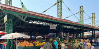 A început sezonul conservelor! Ce prețuri au legumele pentru cămara de iarnă în Piața Centrală din Târgu Jiu