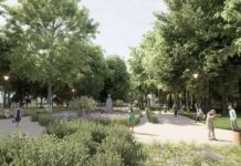 Parcul Central din Târgu Jiu va fi prevăzut cu un hotel pentru insecte