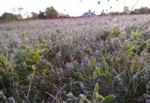 Agricultura pe înțelesul tuturor – Puțină agrometeorologie