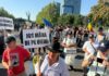 Ce se schimbă pentru oieri după protestul de la București. Anunțul făcut de Guvern