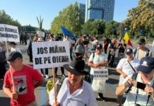 Ce se schimbă pentru oieri după protestul de la București. Anunțul făcut de Guvern