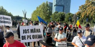 Ce se schimbă pentru oieri după protestul de la București. Anunțul făcut de Guvern