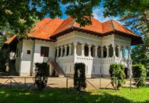Evenimente culturale de excepție la Muzeul Național ,,Constantin Brâncuși”