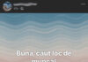 VIDEO: Locurile de muncă din Gorj, tot mai greu de găsit? Șoferii de camion sunt la mare căutare