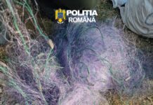 Bărbatul acuzat de braconaj din Turceni, sub control judiciar pe o perioadă de 60 de zile