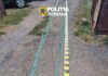 Percheziții în Turceni într-un dosar de braconaj piscicol. Două persoane au fost reținute