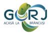 Organizația de Management al Destinației „Acasă la Brâncuși” pregătește strategia de dezvoltare turistică a Gorjului