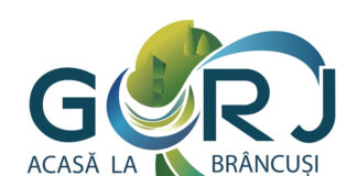 Organizația de Management al Destinației „Acasă la Brâncuși” pregătește strategia de dezvoltare turistică a Gorjului