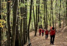 Salvamontiștii din Gorj au luat-o înaintea turiștilor pe munte! Ce au făcut pe traseul spre Piatra Mare a Cloșanilor