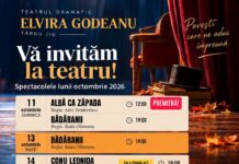 Comedii și povești pentru copii, în octombrie, pe scena teatrului din Târgu Jiu