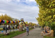 „Film în parc”, ediție de Halloween, astăzi la Târgu Jiu. Concursuri de costume și dovleci sculptați