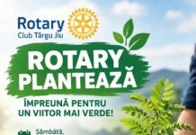 Două mii de puieți de salcâm vor fi plantați la Țicleni
