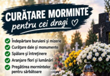 Un nou tip de afacere: Curățarea de morminte pentru cei dragi