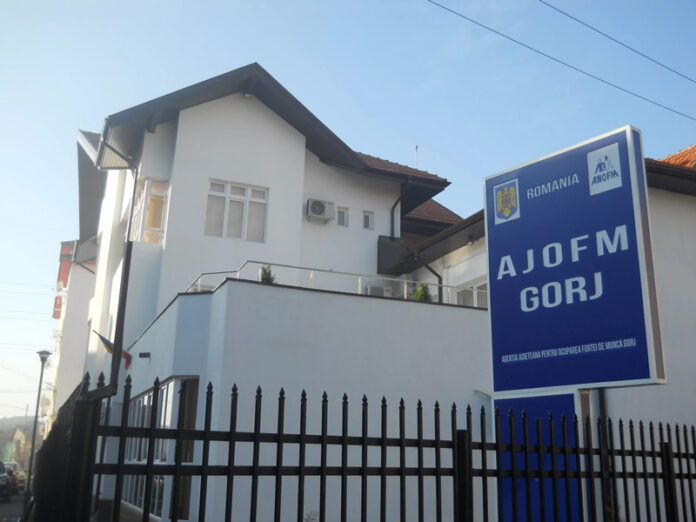 Peste 700 de muncitori străini lucrează în Gorj