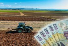 Încep plățile APIA pentru fermieri! Câți bani pot primi agricultorii din Gorj în avans și până când se fac plățile