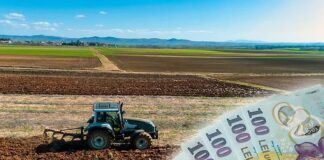 Încep plățile APIA pentru fermieri! Câți bani pot primi agricultorii din Gorj în avans și până când se fac plățile