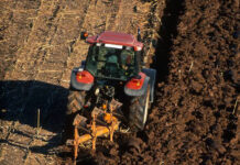 Agricultura pe înțelesul tuturor – Înființarea culturilor de toamnă