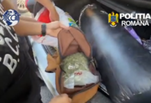 VIDEO Doi barmani de 24 de ani, cercetați pentru trafic de droguri. Procurorii DIICOT din Gorj propun arestarea preventivă
