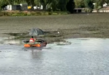 VIDEO Lacul de acumulare de pe Jiu, din zona Vădeni, curățat