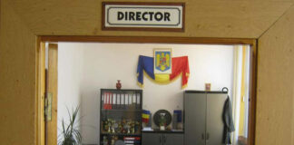 Candidat din Timiș pentru un post de director de școală în Gorj