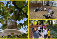 „Drum bun, păsărilor călătoare!” Copiii au decorat hrănitori și au descoperit secretele micilor înaripate, la Muzeul de Artă din Târgu Jiu