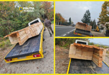 FOTO | Transport de cherestea cu probleme, depistat în Gorj! Amendă de 4.000 de lei pentru un tânăr de 24 de ani