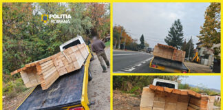 FOTO | Transport de cherestea cu probleme, depistat în Gorj! Amendă de 4.000 de lei pentru un tânăr de 24 de ani