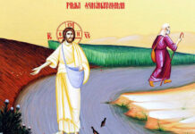 Viaţa Spirituală – Calea, Lumina, Adevărul şi Viaţa – Dumnezeu a venit în lume ca să-Și semene cuvântul Său, dar, cum lumea, ca și ogorul, nu posedă pământ de aceeași calitate, nu tot cuvântul se arată a fi prielnic de rodire!