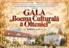 Cioroianu, Ion Mureșan, Ileana Șipoteanu și Emeric Imre, pe aceeași scenă la Târgu Cărbunești. „Boema Culturală a Olteniei” revine cu o ediție spectaculoasă