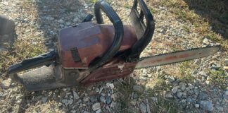 25 de metri cubi de lemn, confiscați în Gorj! Un bărbat din Crasna, prins în flagrant în zona unui canton silvic