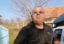 O asociație din Hunedoara acuzată de cruzime și schingiuire va încasa milioane de lei ca să captureze maidanezii din Gorj