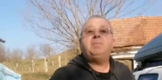 O asociație din Hunedoara acuzată de cruzime și schingiuire va încasa milioane de lei ca să captureze maidanezii din Gorj