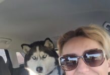 Salvamont și interpreta Claudia Dascălu, parteneri la Târgul de Adopții Canine