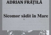 Când rădăcinile învață să crească în mare – Sicomorul ca metaforă a condiției poetice