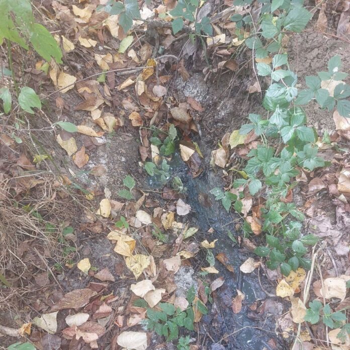 Amendă de 30.000 de lei pentru o spălătorie auto din Stoina