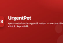 O aplicație gratuită îi poate ajuta pe stăpânii de câini și pisici din Gorj când au o urgență. Un tânăr din spatele UrgentPet explică cum funcționează