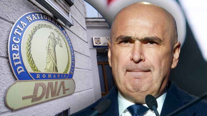 bolo