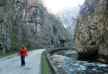 Astenii de toamnă – Din nou călător pe Şusita Verde şi Sohodolul plaiului gorjean