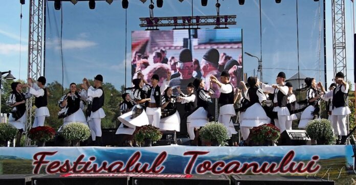 festival tocan