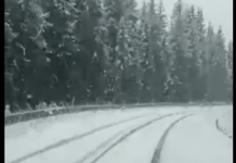 Ninge la munte. Utilaje pe DN 67C, între Obârșia Lotrului și Alba