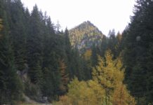 La vreme autumnală prin lumea Sohodolului de Runcu – În nordul Gorjului la ,,Muntele Marilor Verticale’’