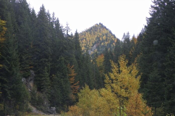 La vreme autumnală prin lumea Sohodolului de Runcu – În nordul Gorjului la ,,Muntele Marilor Verticale’’