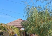 Runcu: Reciclare direct de acasă, colectare separată