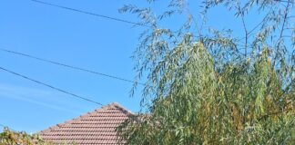 Runcu: Reciclare direct de acasă, colectare separată